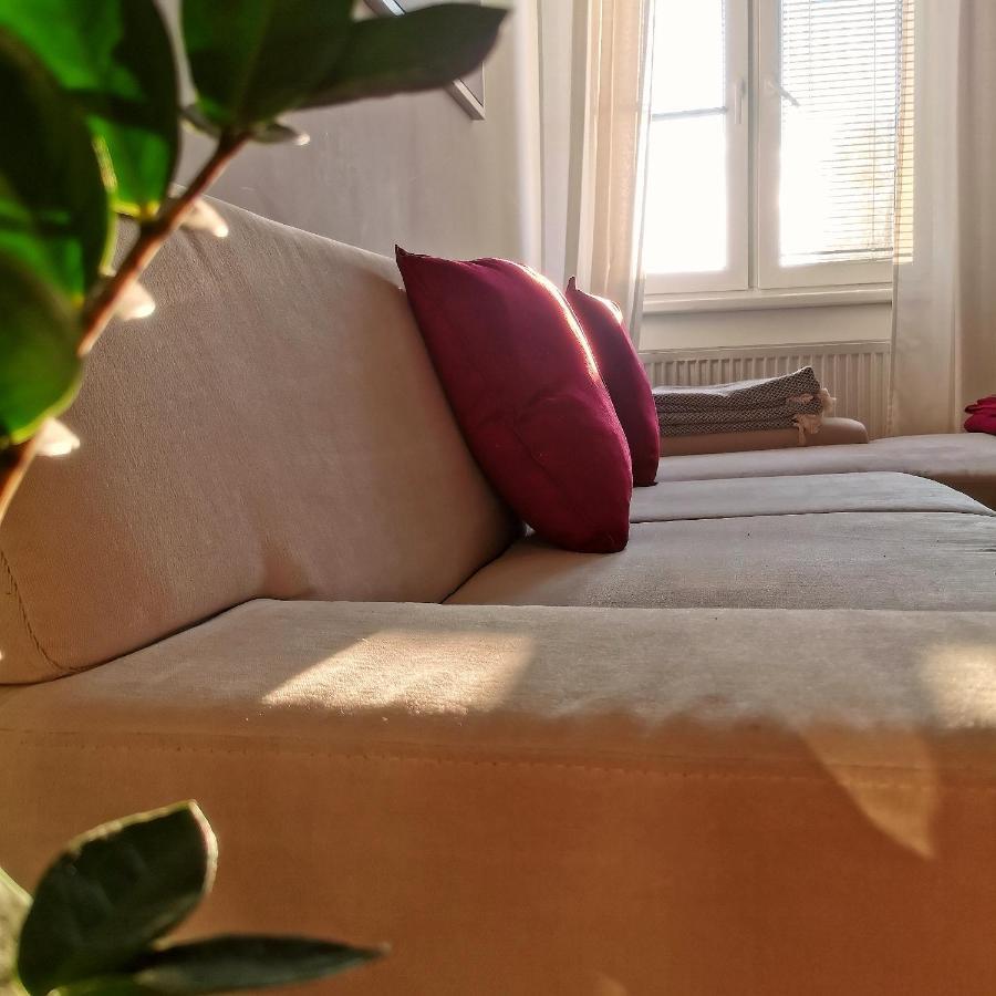 Cozyhome In Old Town, Presidential Apartment Bratislava Eksteriør billede